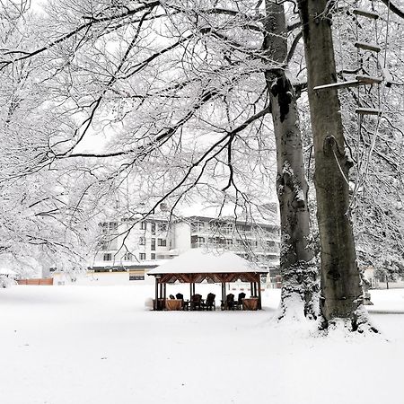 Parkhotel Hirschwang ライヒェナウ エクステリア 写真