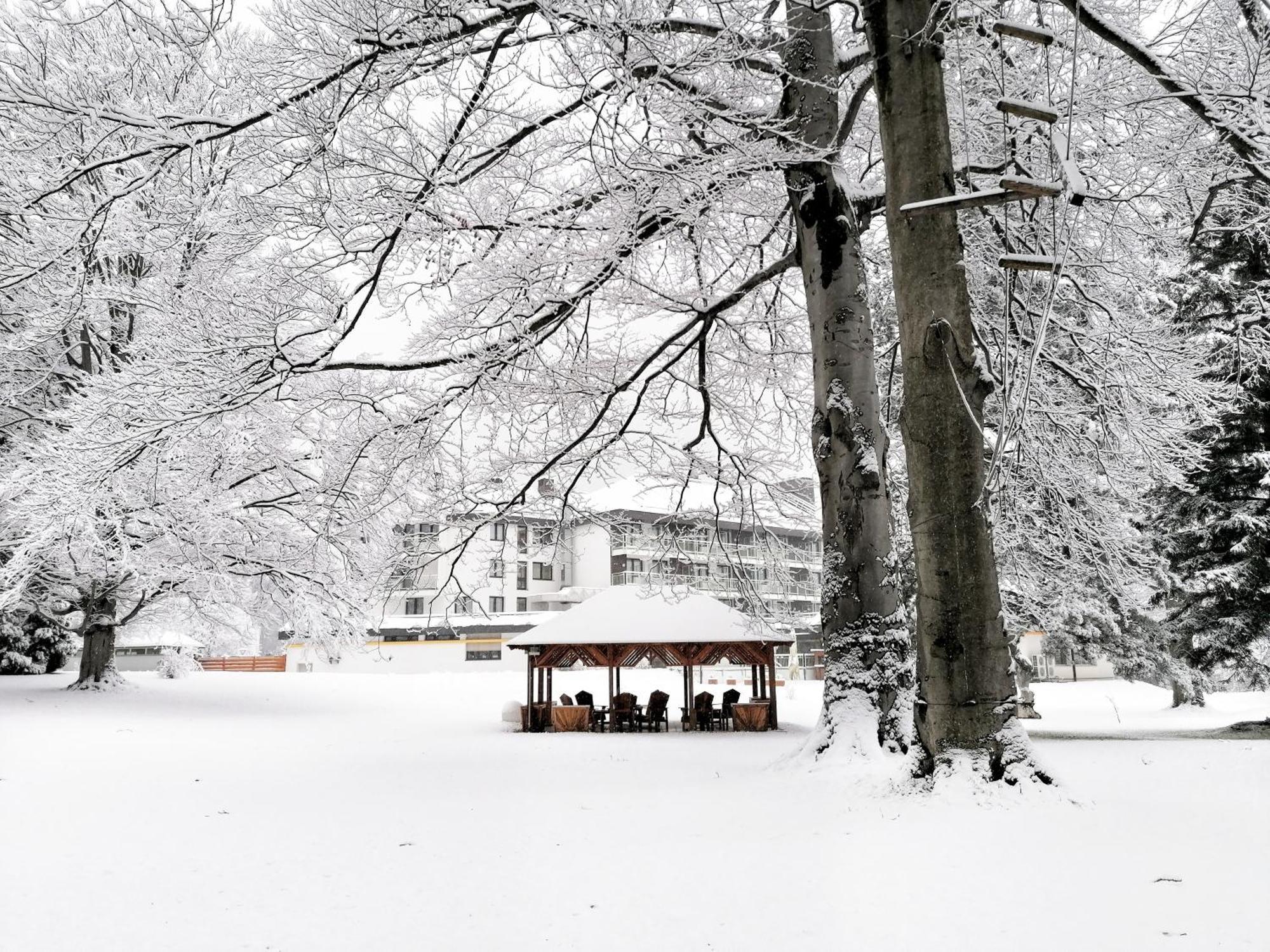 Parkhotel Hirschwang ライヒェナウ エクステリア 写真
